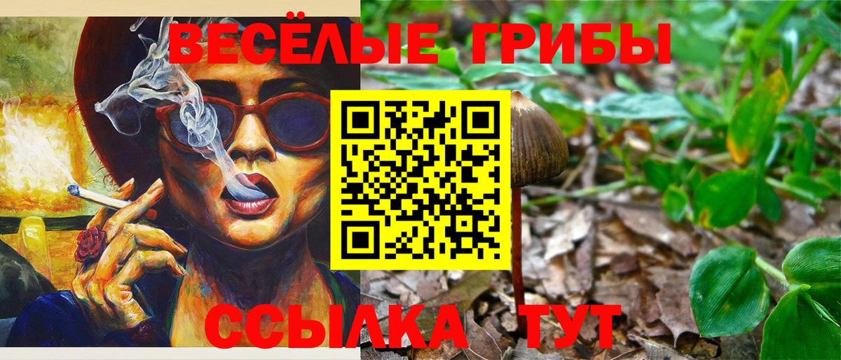 Галлюциногенные грибы Psilocybe  Вход с VPN  Галлюциногенные грибы Magic Shrooms  Истра 