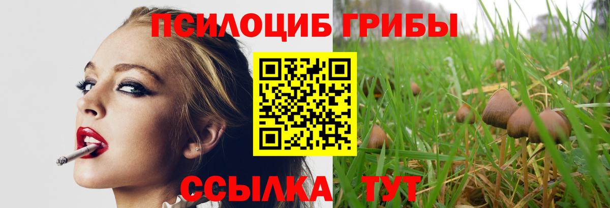 Псилоцибиновые грибы Psilocybine cubensis Истра